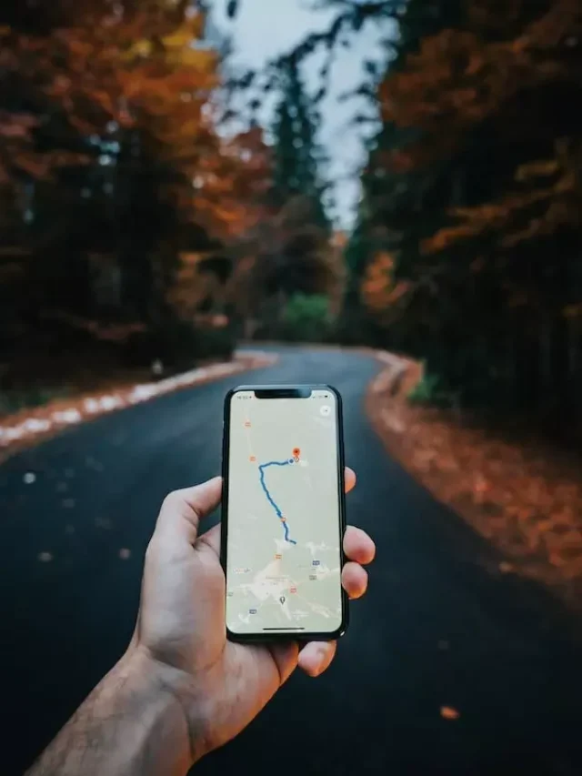 local seo